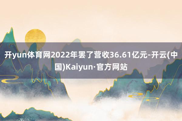 开yun体育网2022年罢了营收36.61亿元-开云(中国)Kaiyun·官方网站
