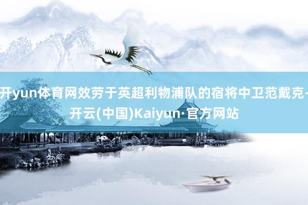 开yun体育网效劳于英超利物浦队的宿将中卫范戴克-开云(中国)Kaiyun·官方网站
