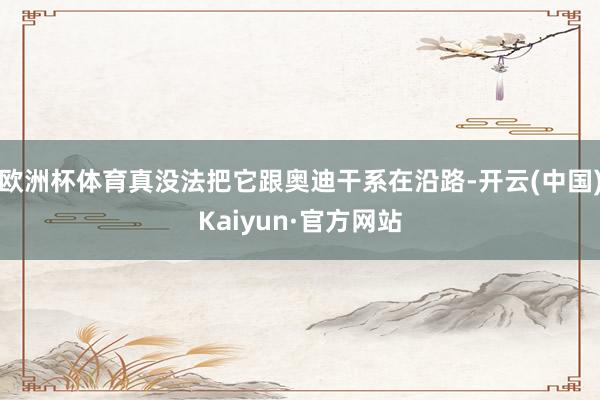 欧洲杯体育真没法把它跟奥迪干系在沿路-开云(中国)Kaiyun·官方网站