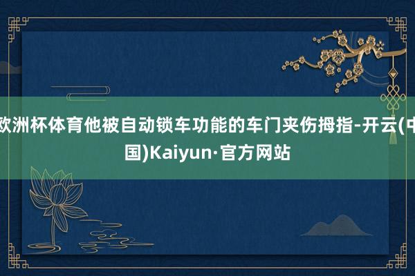 欧洲杯体育他被自动锁车功能的车门夹伤拇指-开云(中国)Kaiyun·官方网站