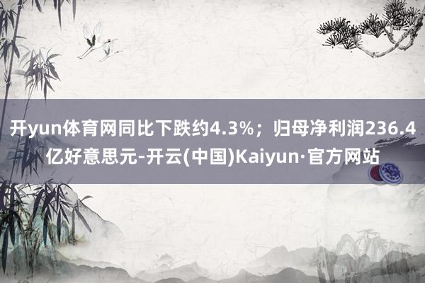 开yun体育网同比下跌约4.3%；归母净利润236.4亿好意思元-开云(中国)Kaiyun·官方网站