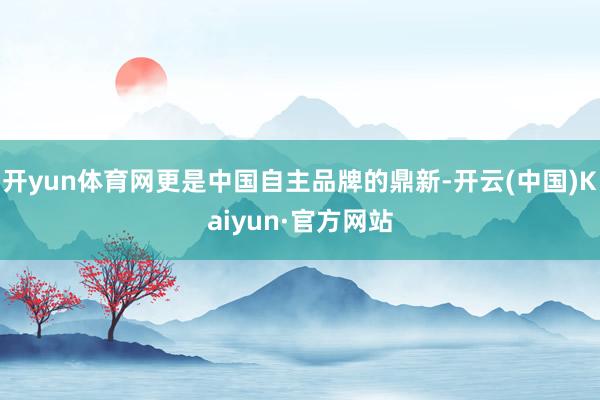 开yun体育网更是中国自主品牌的鼎新-开云(中国)Kaiyun·官方网站