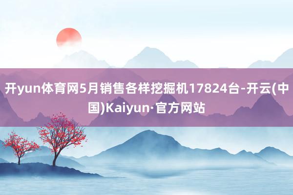 开yun体育网5月销售各样挖掘机17824台-开云(中国)Kaiyun·官方网站