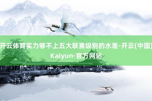 开云体育实力够不上五大联赛级别的水准-开云(中国)Kaiyun·官方网站