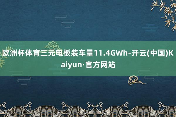 欧洲杯体育三元电板装车量11.4GWh-开云(中国)Kaiyun·官方网站