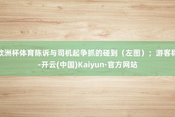 欧洲杯体育陈诉与司机起争抓的碰到（左图）；游客称-开云(中国)Kaiyun·官方网站