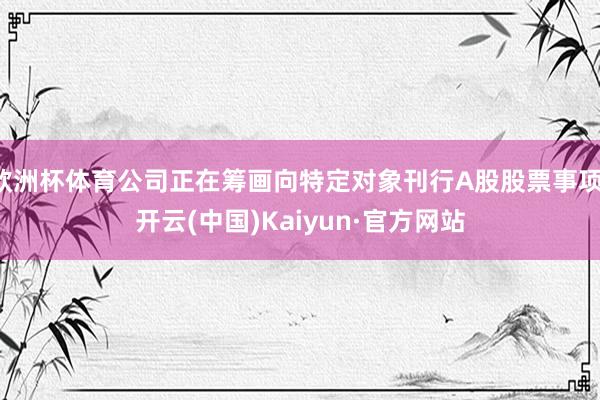 欧洲杯体育公司正在筹画向特定对象刊行A股股票事项-开云(中国)Kaiyun·官方网站