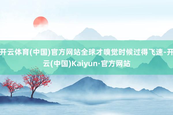 开云体育(中国)官方网站全球才嗅觉时候过得飞速-开云(中国)Kaiyun·官方网站