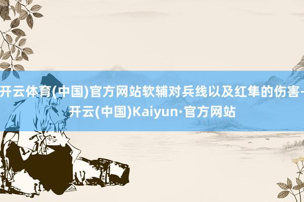 开云体育(中国)官方网站软辅对兵线以及红隼的伤害-开云(中国)Kaiyun·官方网站