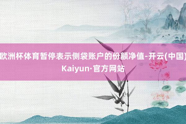 欧洲杯体育暂停表示侧袋账户的份额净值-开云(中国)Kaiyun·官方网站