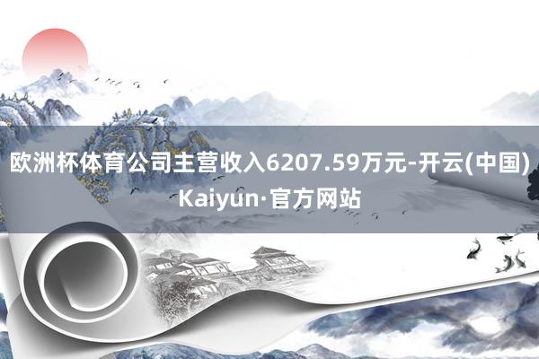 欧洲杯体育公司主营收入6207.59万元-开云(中国)Kaiyun·官方网站