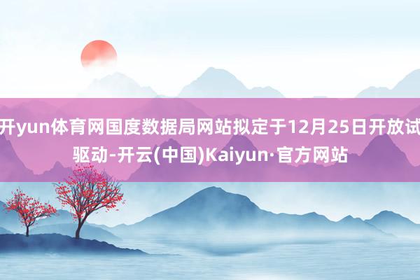 开yun体育网国度数据局网站拟定于12月25日开放试驱动-开云(中国)Kaiyun·官方网站