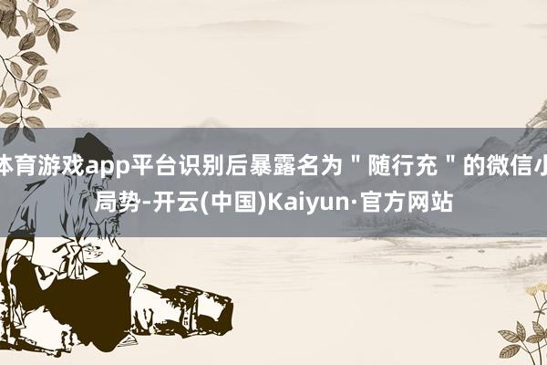 体育游戏app平台识别后暴露名为＂随行充＂的微信小局势-开云(中国)Kaiyun·官方网站